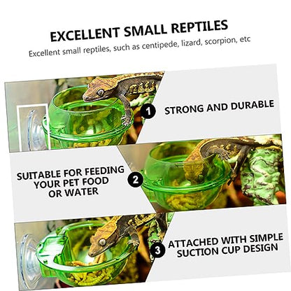 balacoo 4pcs Reptile Feeder Bowl with Cup Dragon Beard Basin for Lizard Gecko Escape Dish for Easy Feeding Design for