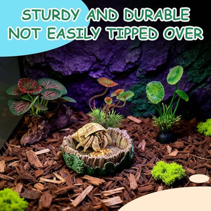 Hermit Crab Accessories Kit 5 PCS, Exclusive Hiding House + Food/Water Bowl + 3 Artificial Plants, Naturalistic Terrarium Decor for Hermit Crabs (Not for Large Reptiles)