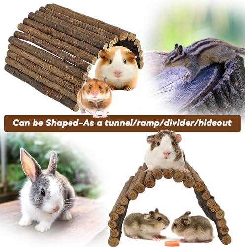 kathson Wooden Hamster Bridge,Guinea Pig Wood Ladder Bendable Tunnel Hideout Hut Small Animal Climbing Toys for Ferret Hedgehog Chinchilla Mice Rat Gerbil Baby Rabbit(19.6 x 6.0 in) - size: M (19.6 x 6.0 inches)
