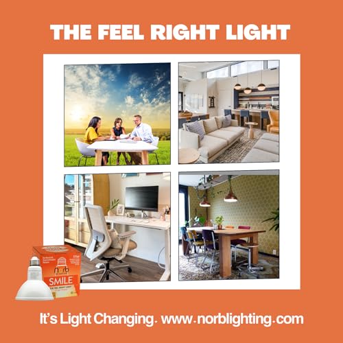 NorbSMILE PAR30 Full Spectrum Light Bulb | US Patented | CA Energy Compliant Long Neck LED Bulb & 11W 750 Lumens | 5000K Daylight White, CRI 96+ & Dimmable | Supports Energy, Mood & Circadian Rhythm - style: Smile 11W PAR30 (1 Pack)