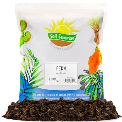 Soil Sunrise Fern Plant Potting Soil Mix (8 Quarts) Custom Hand Blended Mixture for Indoor/Outdoor Container Gardening