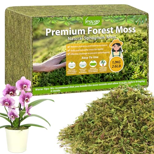 Legigo 2.6LBS Sphagnum Moss for Plants, 50QT Natural Orchid Moss Potting Mix Dried, Green Forest Plant Moss for Orchid Repotting Carnivorous Succulents Indoor Potted Plants Gardening and Reptiles - color: 50 QT(Appx.2.6lbs)