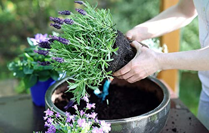 Gardenera Premium Moisture Control Potting Mix - Get The Perfect Balance of Moisture and Nutrients for Your Plants! - 1 Quart - color: MOISTURE CONTROL MIX, size: 1 Quart