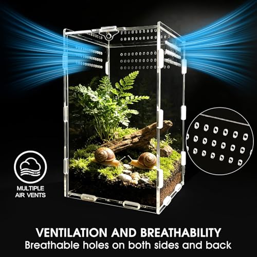 Jumping Spider Enclosure, Acrylic Terrarium(Tweezer and Bowl Included) | Easy-Clean Habitat with Magnetic Door for Spider, Tarantula, Mantis, Snail-5.9" x 5.9" x 9.8" - size: Basic Vertical-Kit