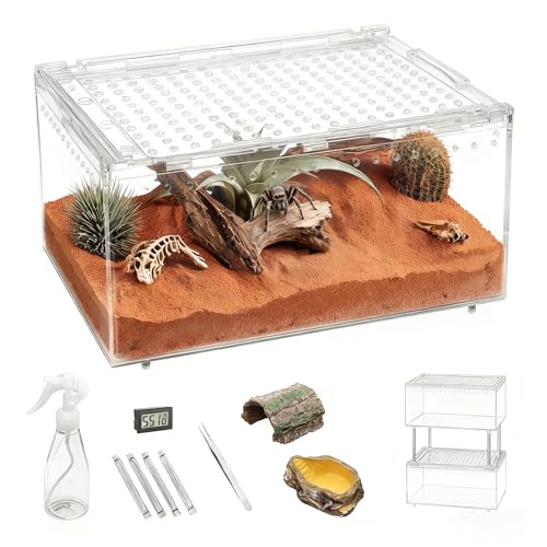 PC Small Reptile Terrarium Starter Kit,Magnetic Jumping Spider Enclosure