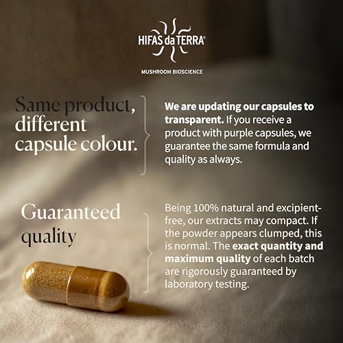 Hifas Equilibrium - Mushroom Complex with Organic Lions Mane, Cordyceps and Reishi - Stress and Mood Support Supplement - 60 Vegan Mushroom Capsules