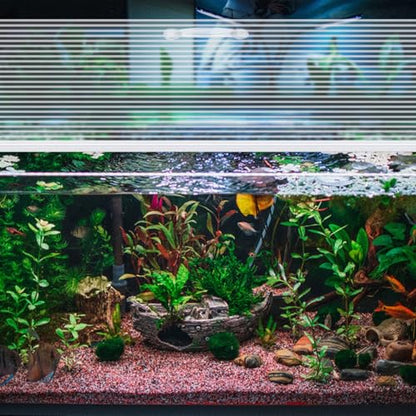 Sieral Aquarium Canopy Set Polycarbonate Greenhouse Panels 15.37 x 7.63 x 0.12 Inch for 5/10 Gallon Fish Tank Without Center Brace Aquariums Cover Fish Tank Lid, Clear - color: Clear, size: 16 x 8 Inch