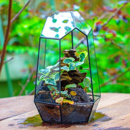 NCYP No Door Geometric Glass Terrarium Planter for Small Succulent, Small Cacti, Black Irregular Opened Terrarium Pot, Indoor Home Garden Office Tabletop Decor, 6.5" x 5.7" x 9.8" (No Plants) - size: 6.5"x5.7"x9.8"