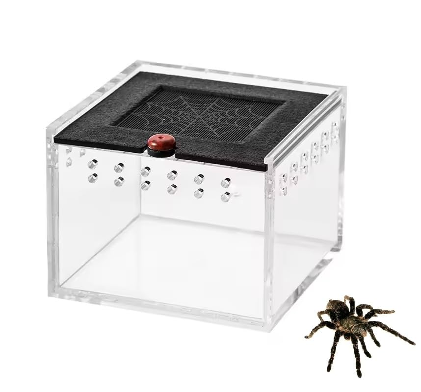 3.5x2.5 inch Pet Spider Box Reptile Crawling Pet Feeding Lizard Silkworm Baby Scorpion Unicorn Beetle Insect House Black Acrylic Box