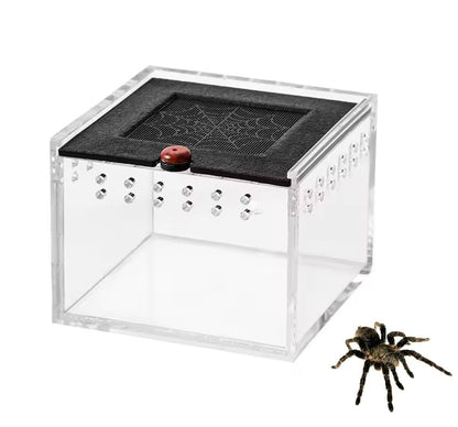 3.5x2.5 inch Pet Spider Box Reptile Crawling Pet Feeding Lizard Silkworm Baby Scorpion Unicorn Beetle Insect House Black Acrylic Box