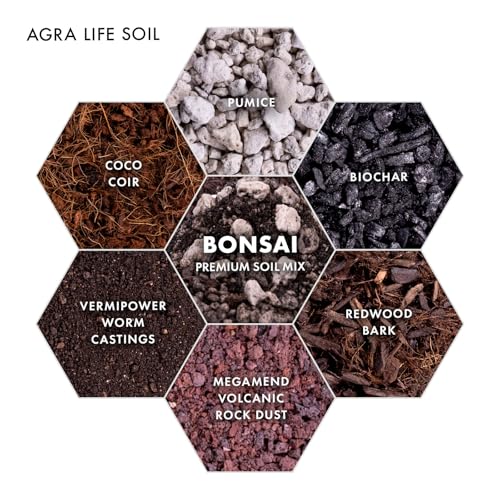 Premium Bonsai Soil Mix for Thriving Indoor Bonsai Trees - Perfect Potting Soil for All Bonsai Varieties - Organic Blend for Optimal Growth - Indoor Plant Soil - 4 Quarts - style: Bonsai Plant Soil Mix