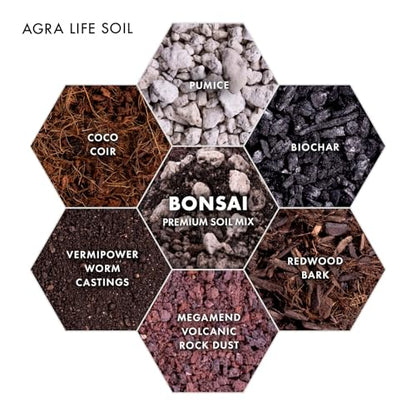 Premium Bonsai Soil Mix for Thriving Indoor Bonsai Trees - Perfect Potting Soil for All Bonsai Varieties - Organic Blend for Optimal Growth - Indoor Plant Soil - 4 Quarts - style: Bonsai Plant Soil Mix