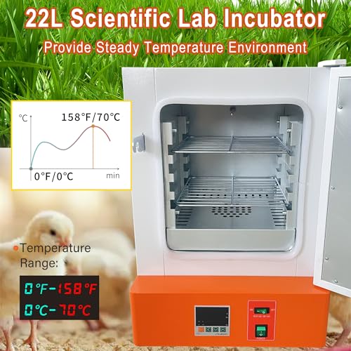 Electric Heating Constant Temperature Lab Incubator 22L 11X11X11Inch Chamber RT-70℃ 110V 60Hz Cabinet Incubator for Reptile Egg Bacterial Culture Seed Germination Medical Science