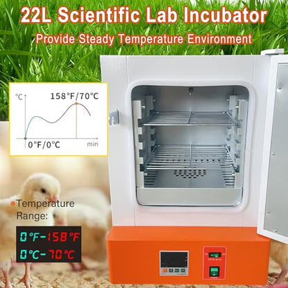 Electric Heating Constant Temperature Lab Incubator 22L 11X11X11Inch Chamber RT-70℃ 110V 60Hz Cabinet Incubator for Reptile Egg Bacterial Culture Seed Germination Medical Science