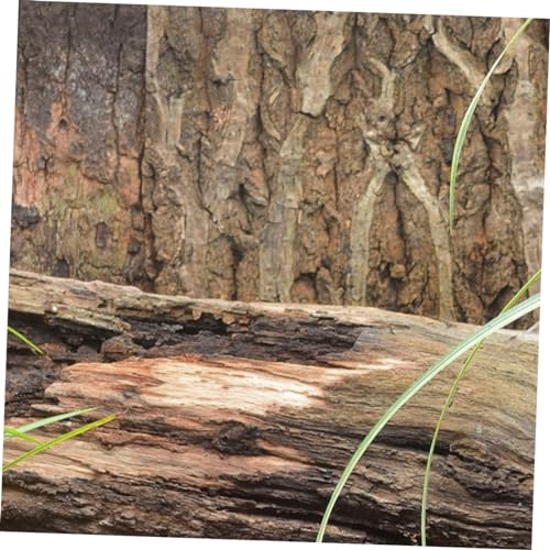 balacoo Cork Bark Terrarium Background Natural Climbing Mat for Reptile Tanks Aquariums Decor for Turtles Snakes and Lizards Safe Reusable Design