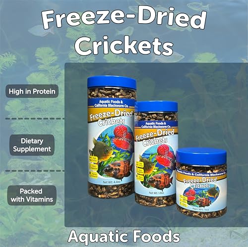 Crickets, Freeze Dried Crickets for Large Tropical Fish, Monster Fish, Reptiles, Turtles, Tortoises, Frogs, Hamsters, Birds, Rodents 6oz Canister - size: 6 Ounce (Pack of 1)