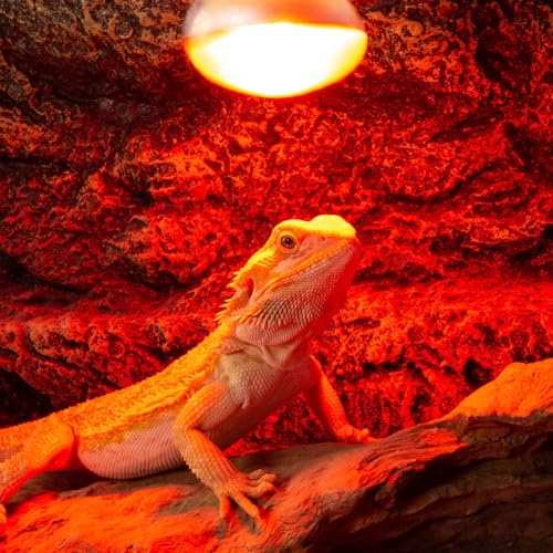 REPTI ZOO 25W Reptile Infrared Heat Lamp 2 Pack,Amphibian Heat Emitter Infrared Basking Spot Light Bulb for Small Geckos,Turtle,Bearded Dragon,Lizard,Tarantulas
