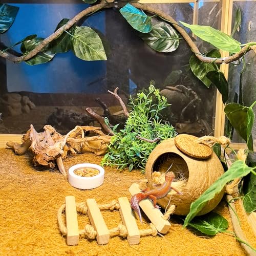 Tfwadmx Crested Gecko Coconut Hide,Leopard Gecko Coco Hut Hideout Cave with Ladder,Reptile Hanging Coconut Hut & Climbing Vine,Ideal Habitat Accessory for Hermit Crab, Snake,Lizard