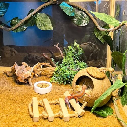 Tfwadmx Crested Gecko Coconut Hide,Leopard Gecko Coco Hut Hideout Cave with Ladder,Reptile Hanging Coconut Hut & Climbing Vine,Ideal Habitat Accessory for Hermit Crab, Snake,Lizard