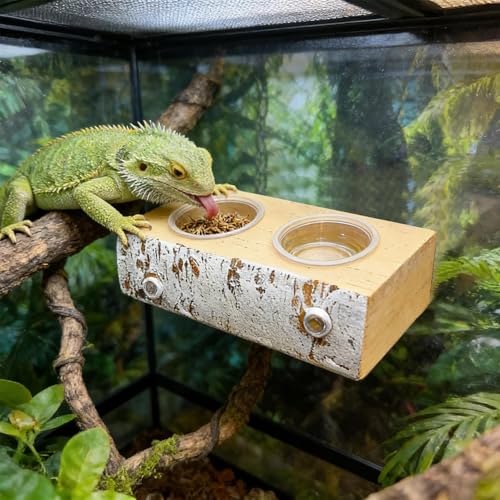 Crested Gecko Feeding Ledge - Magnetic Food Dish with 10 Feeding Cups, Stable Gecko Ledge, Lizard Water Feeder | for Pets Crabs Turtle Spider Bearded Dragon Frogs Centipede Small Animal Habitat