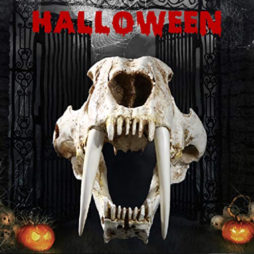 Saber Toothed Tiger Skull Model, 1:1 Saber Toothed Resin Skull for Head Model Home Decor Hallow - 12.60x7.28x7.09in