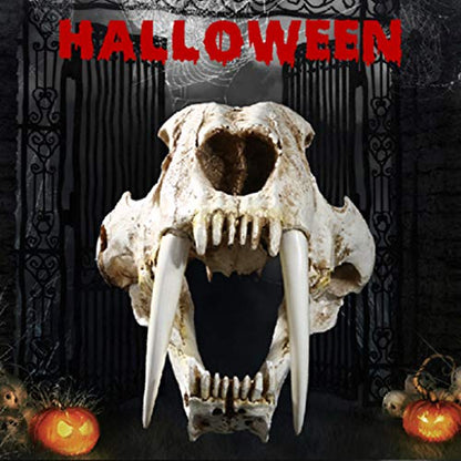 Saber Toothed Tiger Skull Model, 1:1 Saber Toothed Resin Skull for Head Model Home Decor Hallow - 12.60x7.28x7.09in