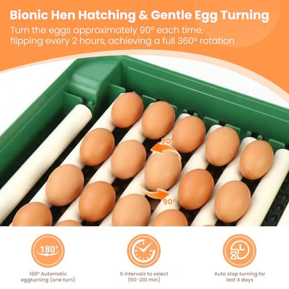 24 Egg Incubator for Hatching Eggs, 360° View Poultry Incubator, Automatic Egg Turning, Temperature & Humidity Display, Auto Water Refilling System, Egg Candler, Multifunctional Egg Tray for Chicken