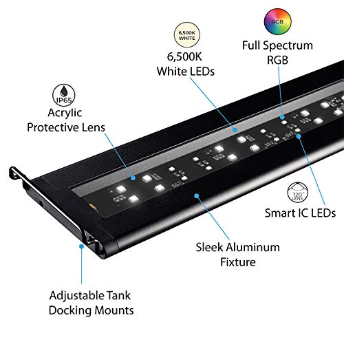 Current USA 72" Inch Satellite Freshwater LED Plus Full Spectrum RGB+W Light for Aquariums | Wireless 24 Hour Remote Control Fish Tank Lighting (4509) - size: 72 inch