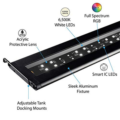 Current USA 24-36" Inch Satellite Freshwater LED Plus Full Spectrum RGB+W Light for Aquariums | Wireless 24 Hour Remote Control Fish Tank Lighting (4506) - size: 24-36 inch