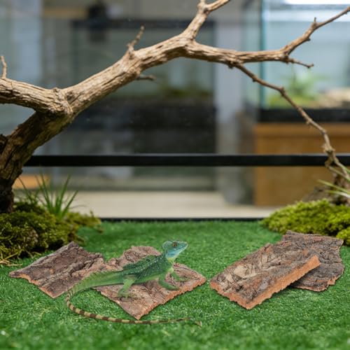 DOITOOL 8 Pcs Cork Bark Reptile Hide Terrarium Decor Climbing Bark for Snake Lizard Gecko Tortoise Habitat Accessories Natural Tree Look for Tank Enclosure