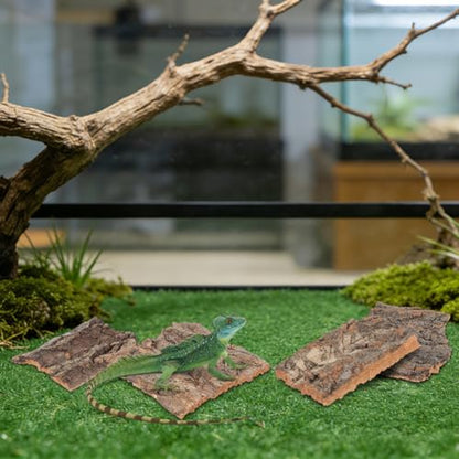 DOITOOL 8 Pcs Cork Bark Reptile Hide Terrarium Decor Climbing Bark for Snake Lizard Gecko Tortoise Habitat Accessories Natural Tree Look for Tank Enclosure