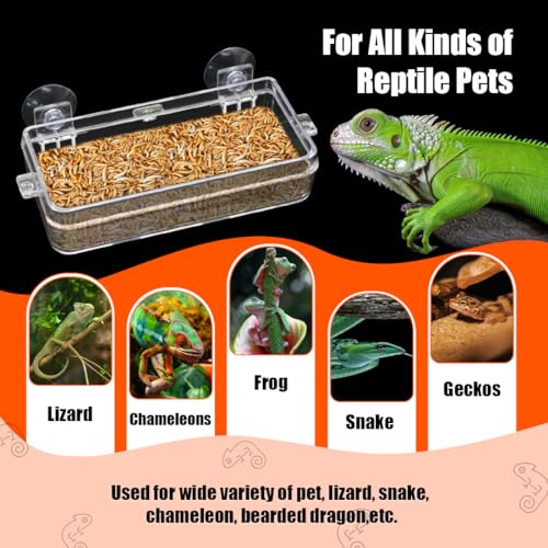 Reptile Feeder Chameleon Bowl 2 Pcs Anti-Escape Food Dish Bowl with Suction Cup for Chameleon Iguana Lizard Reptile Food and Water Feeding (White, M) - color: White, size: M