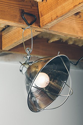 Woods Clamp Lamp with 10 Inch Reflector and Bulb Guard (300 Watt Bulb,6 Foot Cord),(Pack of 12) - size: 1 Count (Pack of 12)
