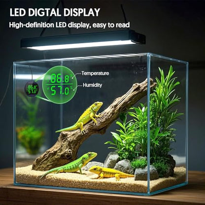 QZQ Reptile Thermometer and Humidity Gauge, LED Digital Thermometer Hydrometer, Reptile Tank Accessories for Bearded Dragon, Crested Gecko, Snake, Lizard, USB Power Supply (2 Pack Blue) - color: Blue - 2 Pack