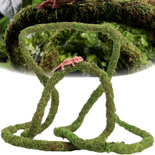 USMOLA Moss Vine for Reptiles, Bendable Climbing Vines Reptile Tank Accessories, Natural Moss Rope for Leopard Gecko, Lizard, Snake, Chameleon, Frog Terrarium Decor (Jungle Green, 6.5 FT) - size: 6.5 FT