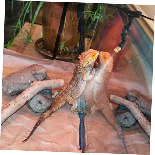 DECHOUS Adjustable Misting Nozzle for Reptile Tanks Fine Mist Sprayer with Full Rotation for Terrarium Humidification and Cooling and Play Installation Versatile Irrigation