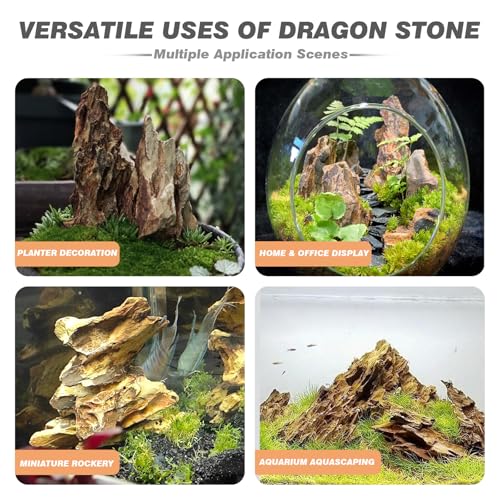 Unocho Aquarium Rocks Natural Dragon Stone Seiryu Rocks 20lb Fish Tank Rocks for Aquariums Landscaping Model Tank Decoration Paludarium Amphibian Enclosures(2-8 inches) - size: 20LB(2-8 inches)
