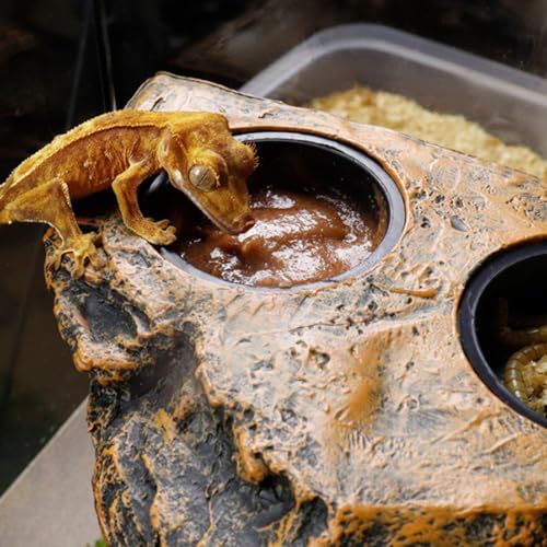 Gecko Feeding Ledge, Magnetic Hanging Reptile Food Dish with 2 Feeding Bowl, for Bearded Dragon Snake Lizard Gecko Ledge, Reptile Food Dish, Crested Tank Accessories, Bearded Dra