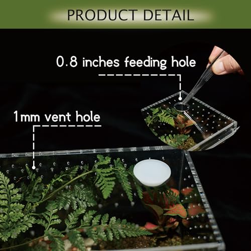 Acrylic Terrarium for Reptiles & Spiders – Small/Medium/Large Leak-Proof Enclosure (Horizontal/Vertical) | Ideal for Tarantulas, Jumping Spiders, Frogs & Geckos(Small, Horizontal) - size: Small