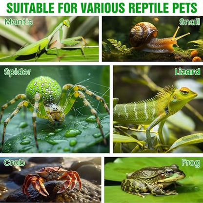 Jumping Spider Enclosure Kit, Clear Acrylic Reptile Enclosure Bug Habitat, Terrarium for Tarantulas, Mantis,Hermit Crabs,Snail(5" X 4" X 8")