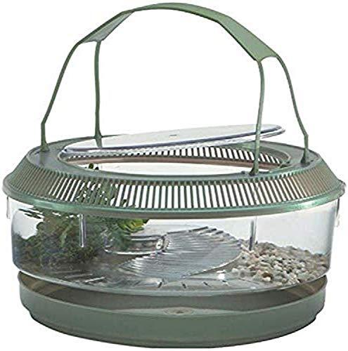 Lee's Fire Belly Landing, Round w/Lid, Handle, Tray, Plant