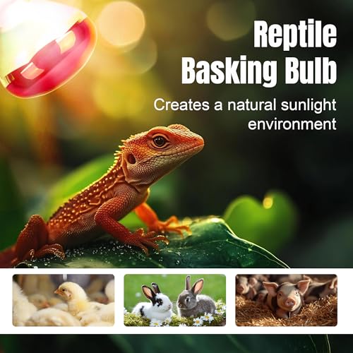 250W R40 Red Heat Lamp Bulbs (4-Pack), Infrared Heat Bulbs, Infrared Therapy Bulbs for Bathroom, Sauna, Pets & Chickens, 2,000 Hour Rated, E26 Base - color: Red