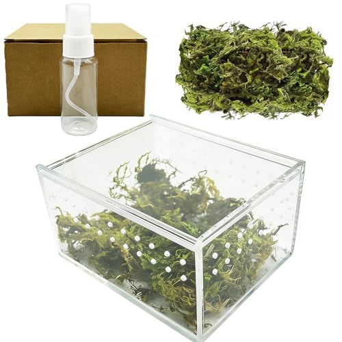 Reptile Breeding Box Small Acrylic Spider Terrarium Tarantula Enclosure Hermit Crab Tank with Terrarium Moss for Scorpion Insect Isopods Invertebrates