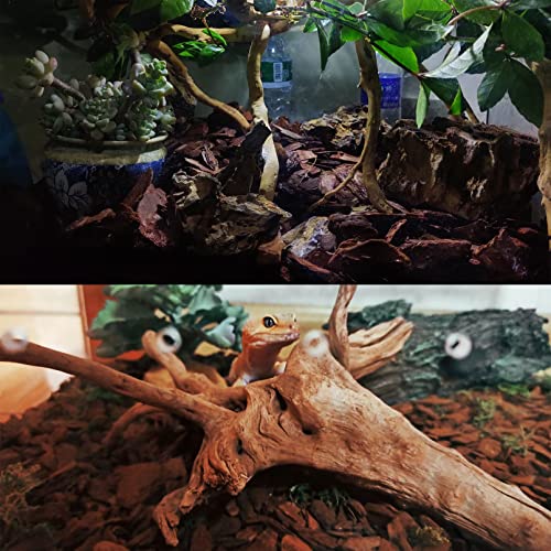 Tfwadmx Reptile Bark Bedding 15.8oz Tortoise Bedding for Habitat Bearded Dragon Substrate Reusable Pine Chips Substrate for Geckos, Lizards, Turtles Snakes, Hermit Crabs