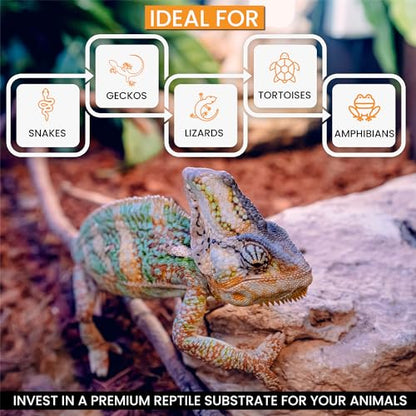 ReptiChip Reptile Substrate Coconut Chip Bedding 72 Quart Compressed Organic Coco Husk Block for Snake Habitat, Ball Python Terrarium, Turtle Tanks, Tortoise Enclosure (3 Pk) - size: 3 Pack Breeder Bundle