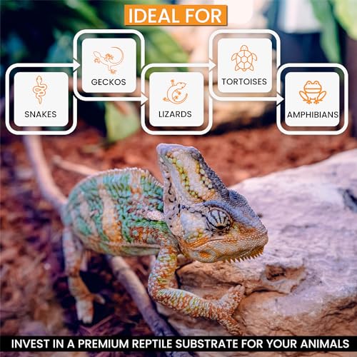 ReptiChip Reptile Substrate Coconut Chip Bedding 72 Quart Compressed Organic Coco Husk Block for Snake Habitat, Ball Python Terrarium, Turtle Tanks, Tortoise Enclosure (5 Pk) - size: 5 Pack Breeder Bundle