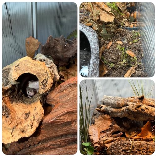 120 Gallon Bearded Dragon Tank, 48x24x24 Reptile Enclosure, Silver - color: Silvery