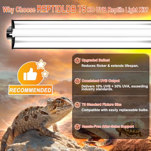 39W T5 10.0 UVB Reptile Light Fixture – 34” Linear UVA/UVB Lamp with High Output for Bearded Dragons, Tortoises & Lizards, Perfect for Desert & Tropical Terrariums - size: 39W-34 Inch-T5 Fixture