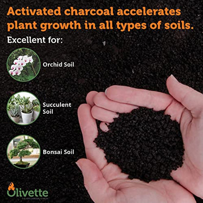 OLIVETTE Organic Biochar Activated Charcoal for Plants, 1 Bag | USDA Horticultural Charcoal, Moisture Control For Terrariums & Potted Plants, Biochar Soil Additive For Gardening - size: 1 Bag