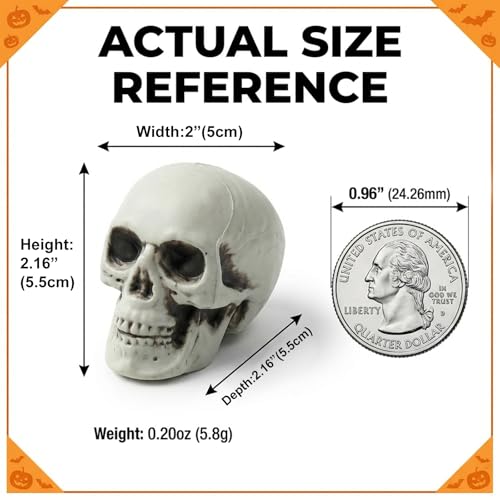 12 PCS Mini Skull Heads, 2 Inch Realistic Plastic Skeleton Skulls for Halloween Decor, Gothic Home Decor, Haunted House Props, DIY Crafts & Party Table Decor